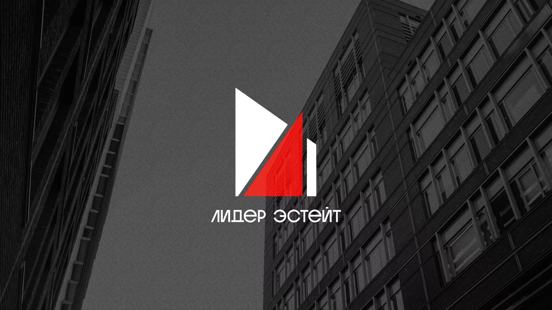 Сделали логотип для агентства недвижимости «Лидер Эстейт» в Верхнем Уфалее